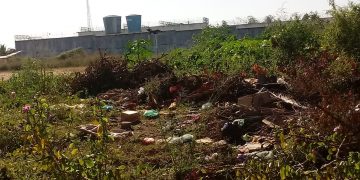 MORADORES DA TRAVESSA MANDACARU DENUNCIAM LIXÃO DO LOCAL E PEDEM QUE PREFEITURA LIMPE E PROIBIDA A PRÁTICA NO LOCAL