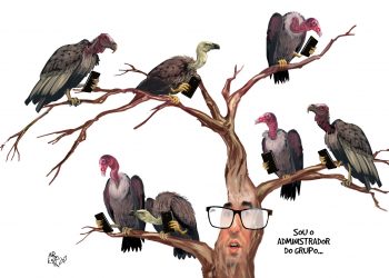 Aroeira – GRUPO DE TELEGRAM