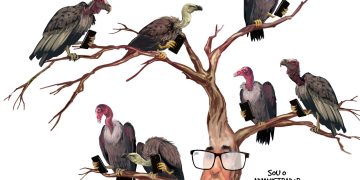 Aroeira – GRUPO DE TELEGRAM