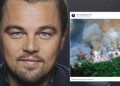 Destruição da Amazônia por Bolsonaro revolta DiCaprio: aterrorizante