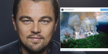 Destruição da Amazônia por Bolsonaro revolta DiCaprio: aterrorizante