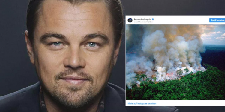 Destruição da Amazônia por Bolsonaro revolta DiCaprio: aterrorizante