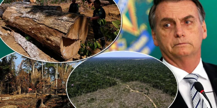 Assim como a Alemanha, Noruega suspende repasses para a proteção da Amazônia