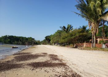 A revitalização da praia do cajueiro disponibiliza um novo ponto turístico na área Itaqui Bacanga.