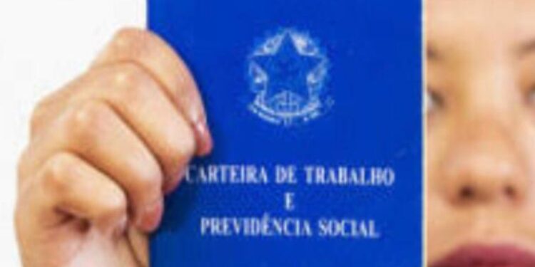 Mais Renda: Governo promove emprego e geração de renda com entrega de 300 kits alimentação