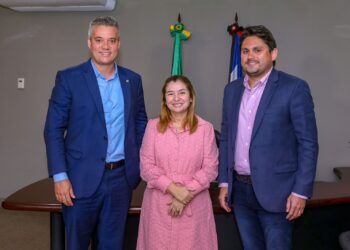 Iracema Vale discute projetos de conectividade com ministro das Comunicações