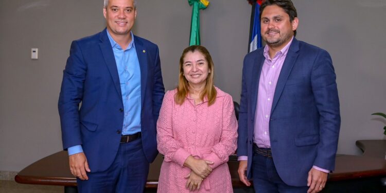 Iracema Vale discute projetos de conectividade com ministro das Comunicações