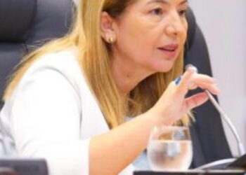 Iracema Vale apresenta requerimento para homenagear instituto histórico geográfico do Maranhão