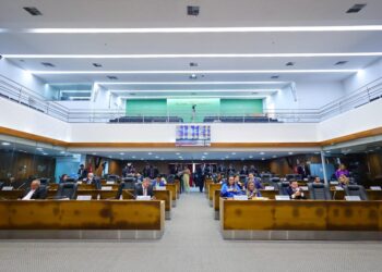 Deputados aprovam PL que cria Polo de Fortalecimento das Cadeias Produtivas Agrossilvipastoris