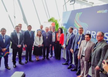 Iracema Vale participa de reunião do Grupo de Trabalho de Economia Digital do G20