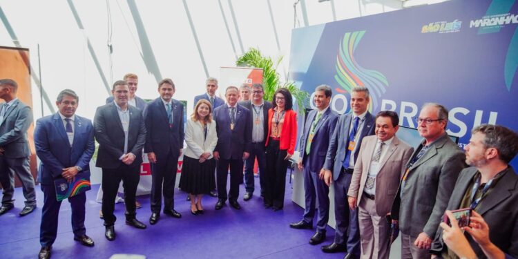 Iracema Vale participa de reunião do Grupo de Trabalho de Economia Digital do G20