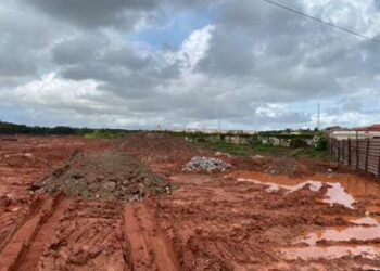 Após a Raizem vem a Interelli! Área de manguezal às margens da BR 135 próximo ao Porto Itaqui, continua sendo devastada.