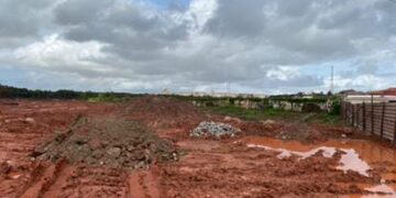 Após a Raizem vem a Interelli! Área de manguezal às margens da BR 135 próximo ao Porto Itaqui, continua sendo devastada.