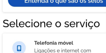 Anatel destaca aplicativo oficial no Gov.br em devolutiva enviada após audiência de Dr. Joel